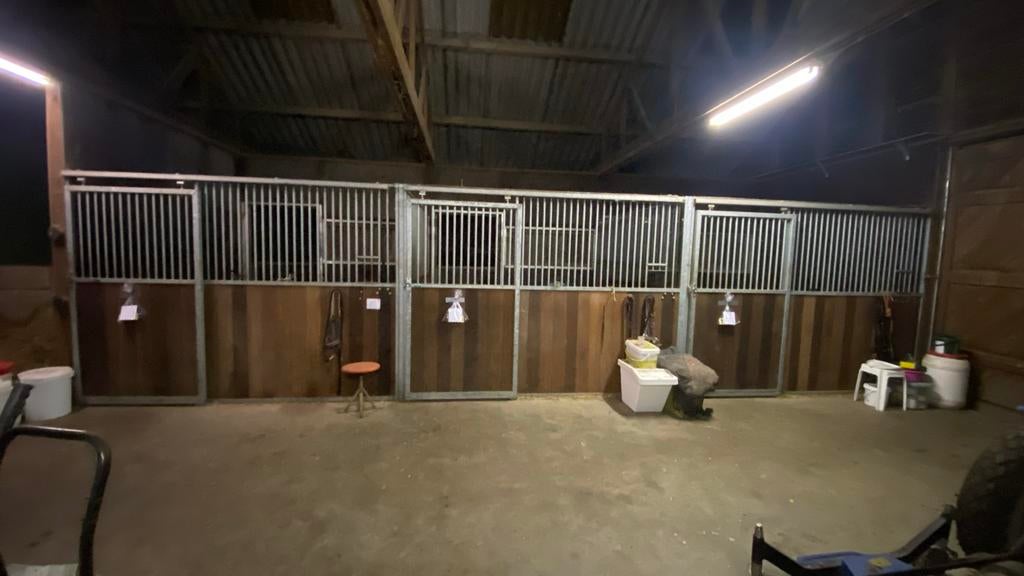 Pensionstalling (pony), Dieren en Toebehoren, Stalling en Weidegang, Stalling, Weidegang, 1 paard of pony