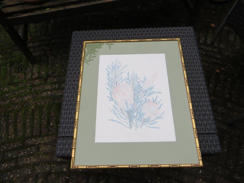 Gesigneerde Zeefdruk - sugarbush v Stanley S C Seagrief 1990, Ophalen of Verzenden