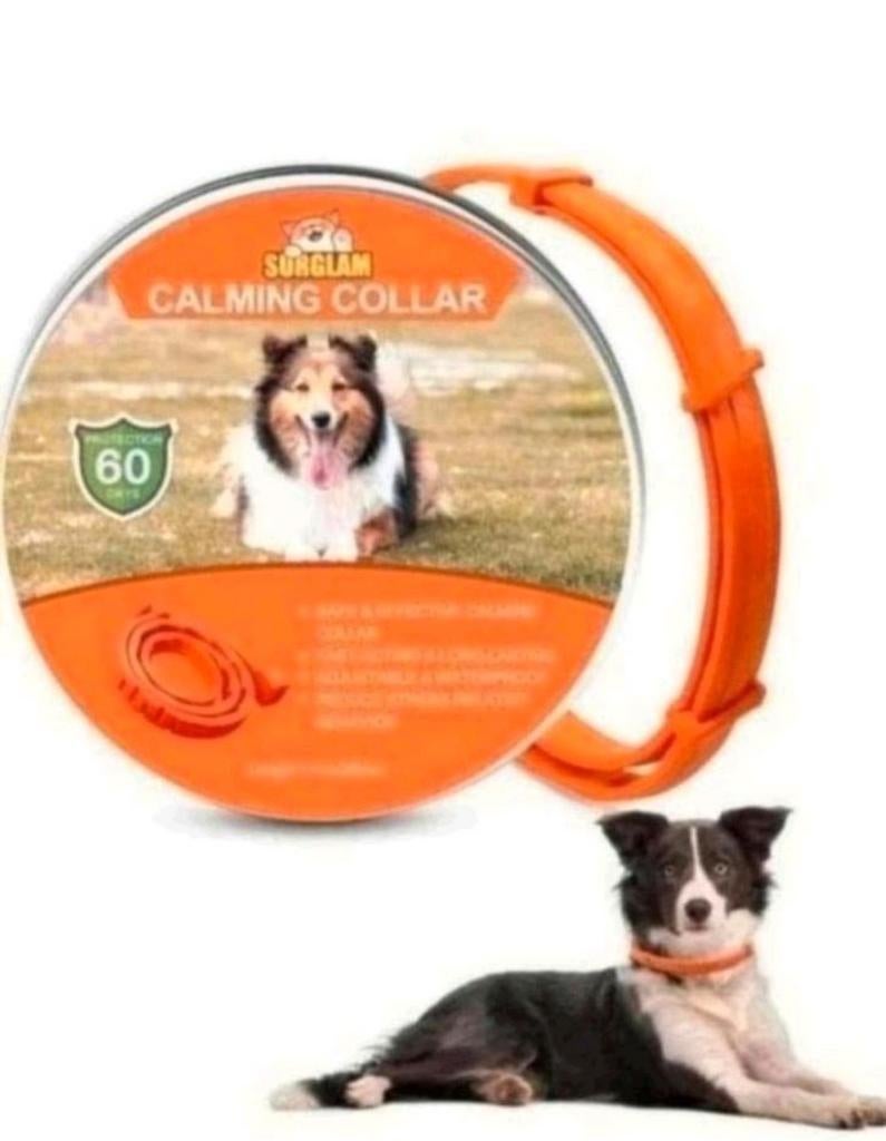 Nieuwe rustgevende halsband hond. Meerdere aanwezig, Ophalen of Verzenden, Nieuw