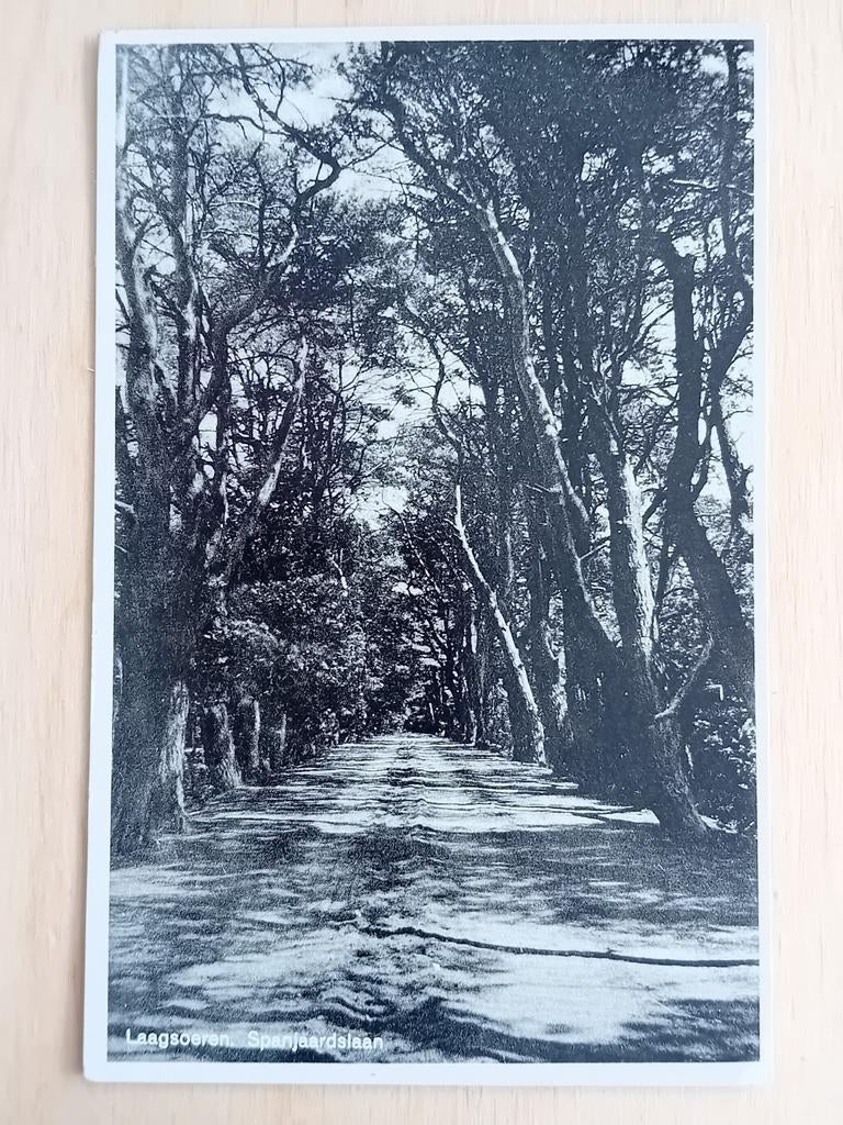 Ansichtkaart Laag Soeren, Ophalen of Verzenden, Gelderland