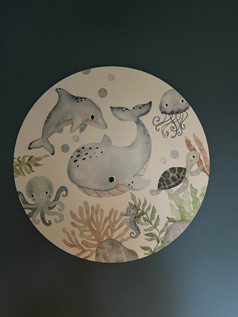 Muurcirkel (forexplaat) diameter 80 cm, Ophalen, Zo goed als nieuw, Wanddecoratie