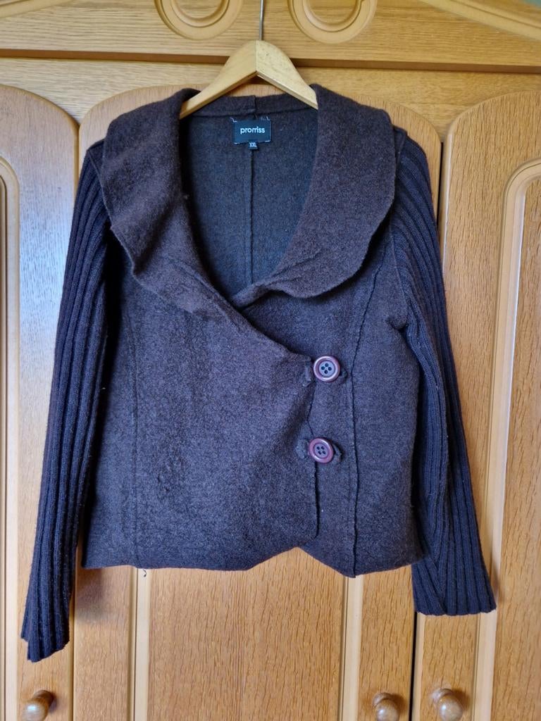 Donkerbruin jasje/vest van Promiss maat XXL (valt kleiner L), Ophalen of Verzenden, Zo goed als nieuw, Bruin