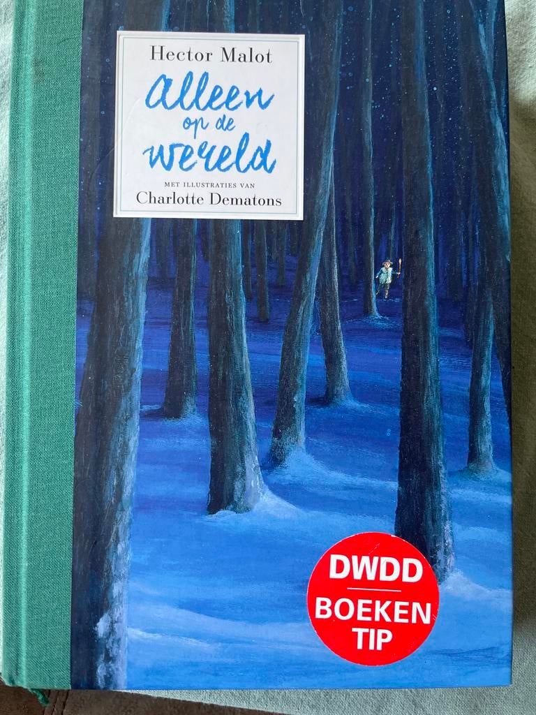 Alleen op de wereld - Hector Malot, Boeken, Literatuur, Ophalen of Verzenden, Zo goed als nieuw, Nederland