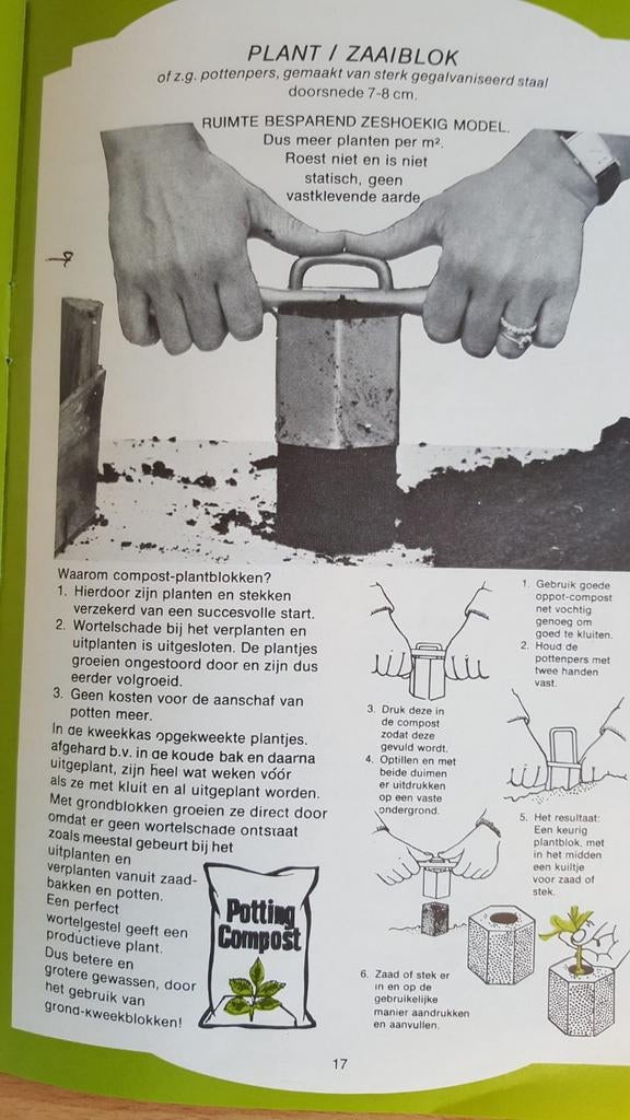 Potten pers, Ophalen of Verzenden, Volle zon