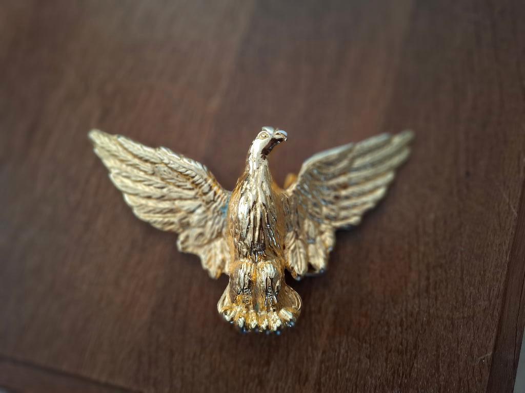 riemgesp adelaar, Kleding | Heren, Verzenden, Nieuw, Zwart, Minder dan 95 cm