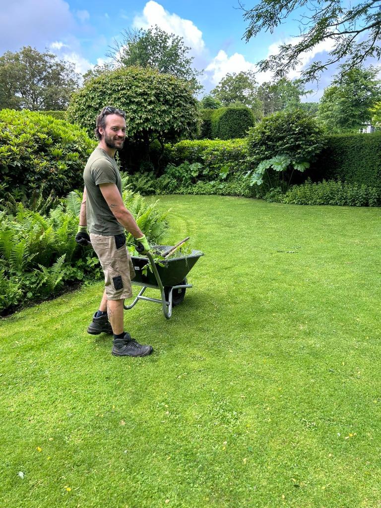 Tuinman/hovenier aangeboden Amsterdam/Utrecht -, Tuinonderhoud of Snoeiwerk