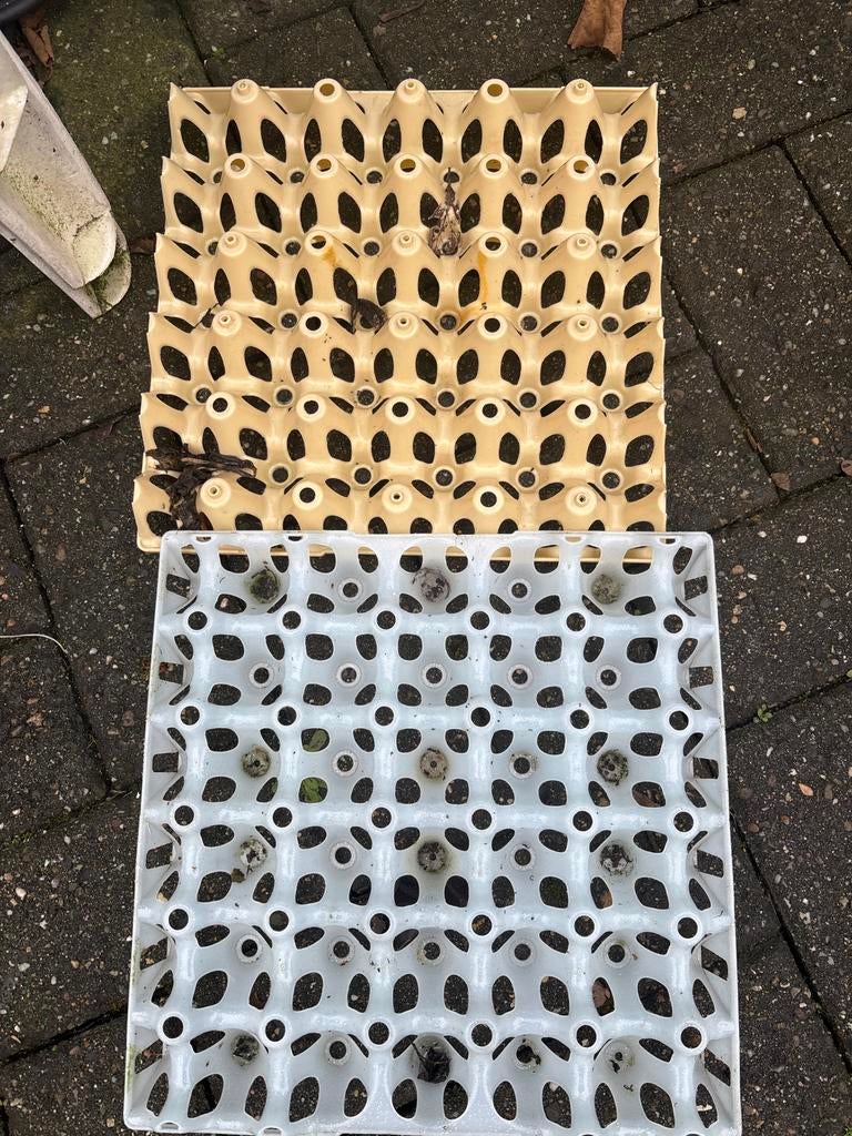 kunststof eiertrays, Dieren en Toebehoren, Pluimvee | Toebehoren, Ophalen of Verzenden, Gebruikt