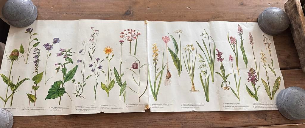 Oude posters, Verzamelen, Posters, Ophalen, Gebruikt, Rechthoekig Liggend, A1 t/m A3