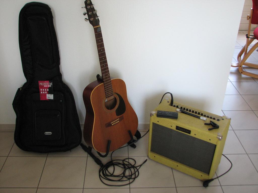 Seagull akoestische electrische gitaar met versterker, Muziek en Instrumenten, Snaarinstrumenten | Gitaren | Akoestisch, Ophalen