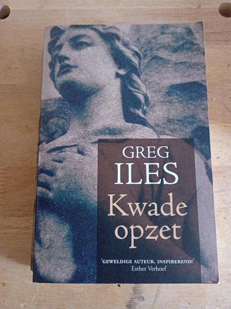 Greg Iles - Kwade opzet, Ophalen of Verzenden, Zo goed als nieuw, Greg Iles, Nederland
