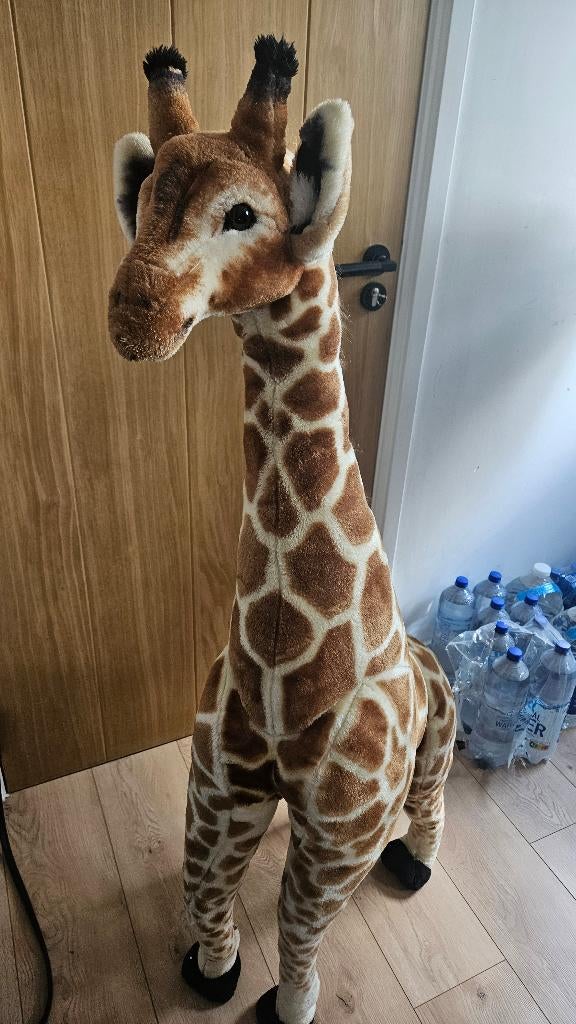 Giraffe knuffel, Ophalen, Zo goed als nieuw, Overige typen