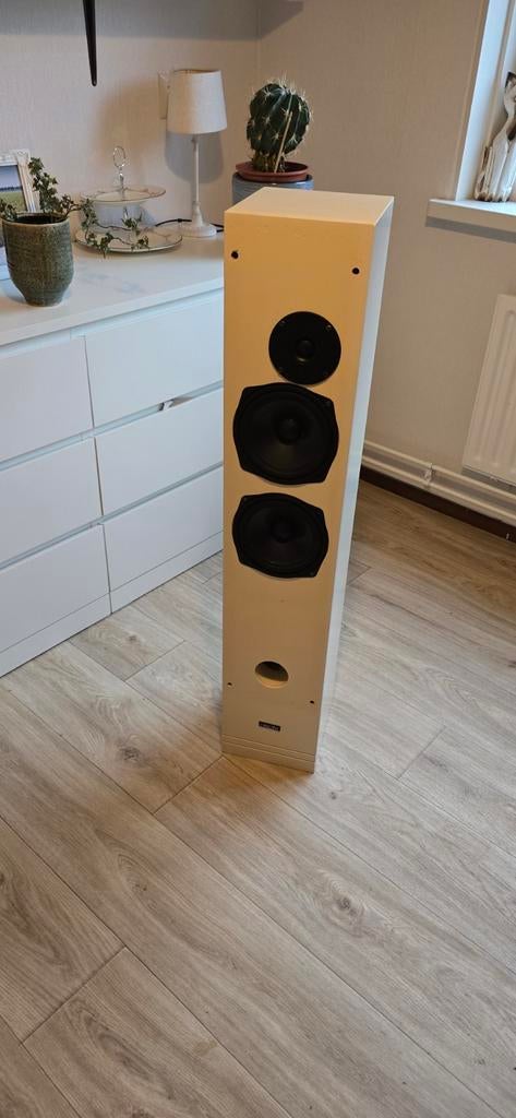 Te koop aangeboden: 2 Hepta Street luidsprekers., Zo goed als nieuw, 120 watt of meer, Front, Rear of Stereo speakers, Ophalen