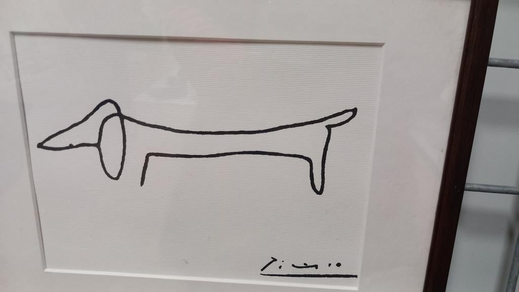 Teckel, Ophalen of Verzenden, 60 Hz of minder, IPS