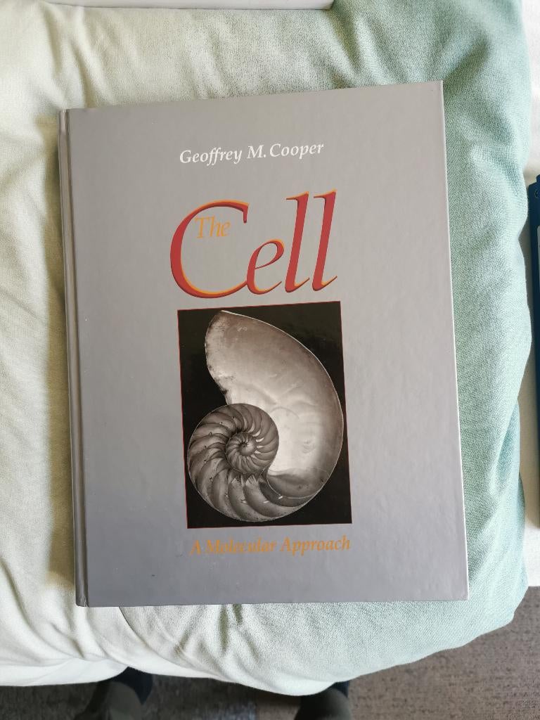 Studieboeken, Ophalen of Verzenden, Beta, Zo goed als nieuw, WO