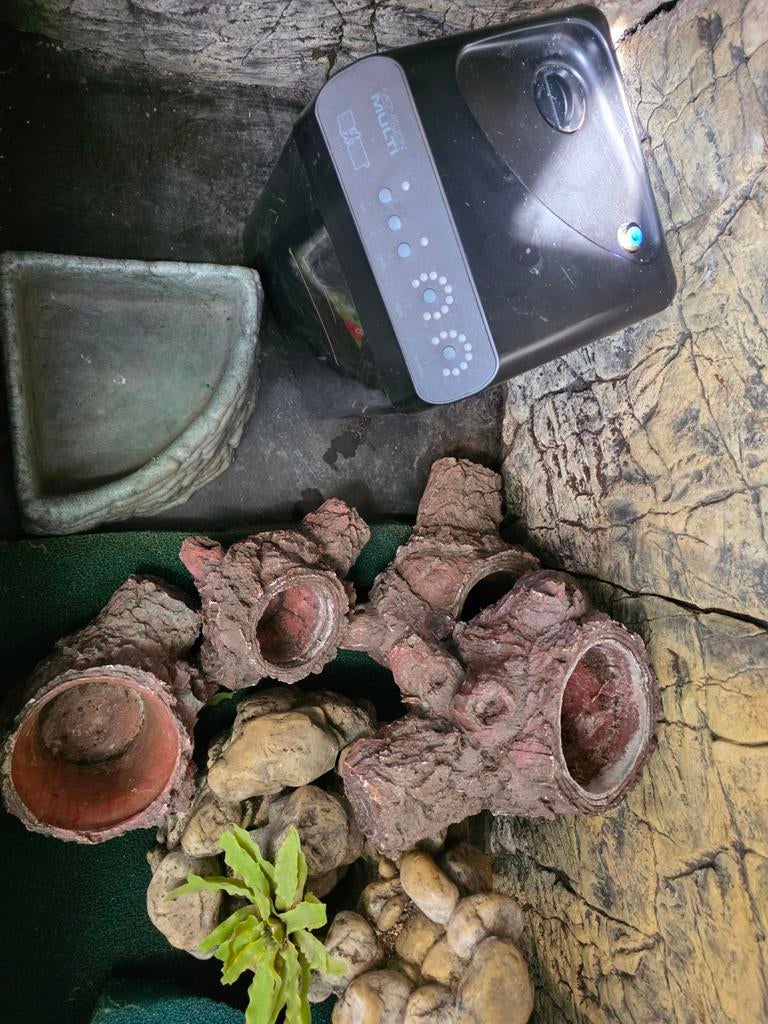 Luxe multiplex terrarium met toebehoren 150 x 60 x 140, Ophalen