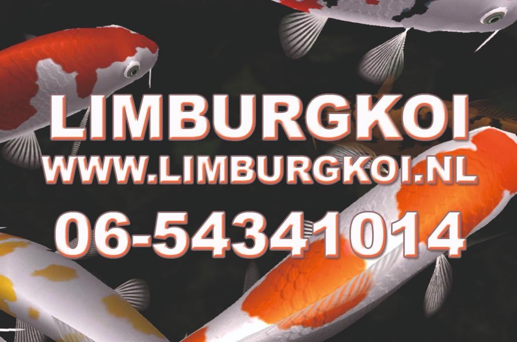 Totale Leegverkoop Limburg Koi BV, Tuin en Terras, Vijver-toebehoren, Ophalen, Nieuw, Overige typen