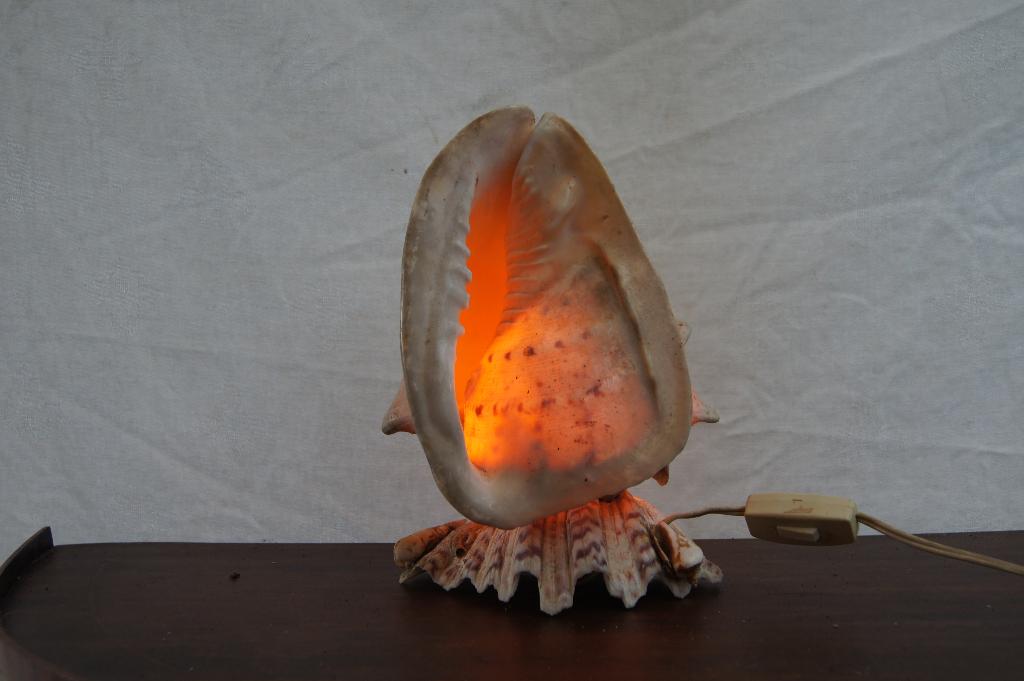 Schelpen Lamp, Ophalen of Verzenden