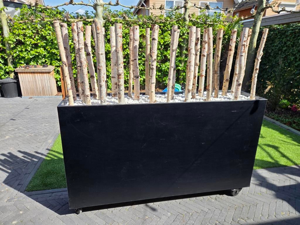 Verrijdbare tuin afscheiding met berkenhout, Ophalen of Verzenden