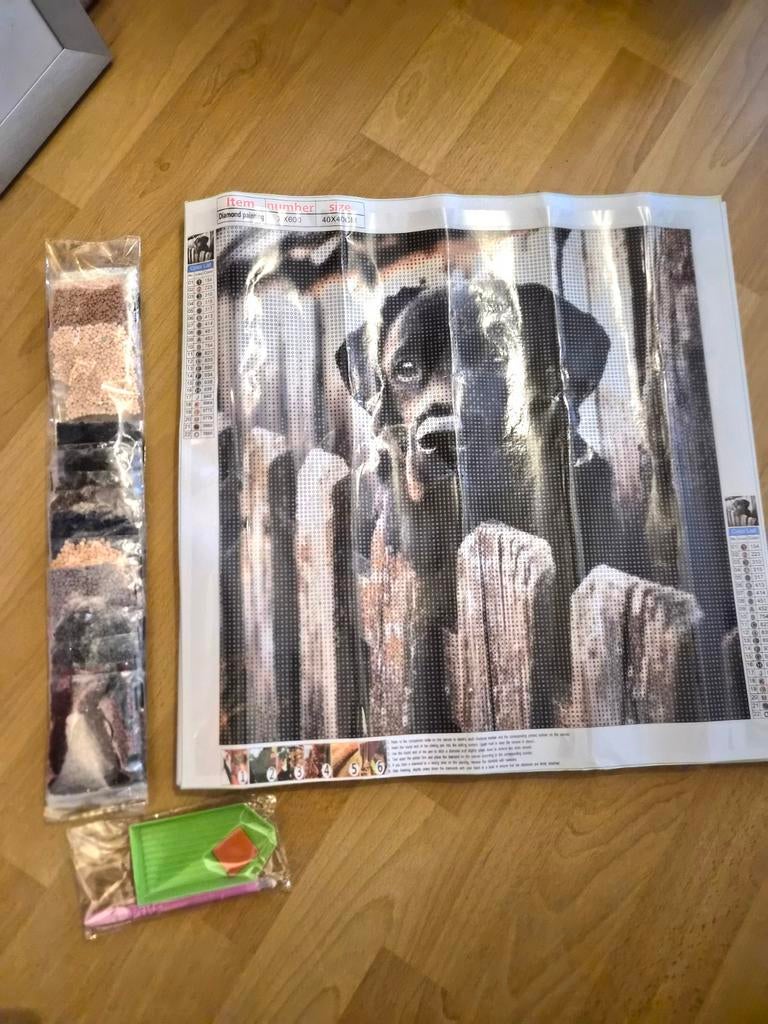 Diamond painting labrador NIEUW, Hobby en Vrije tijd, Ophalen of Verzenden