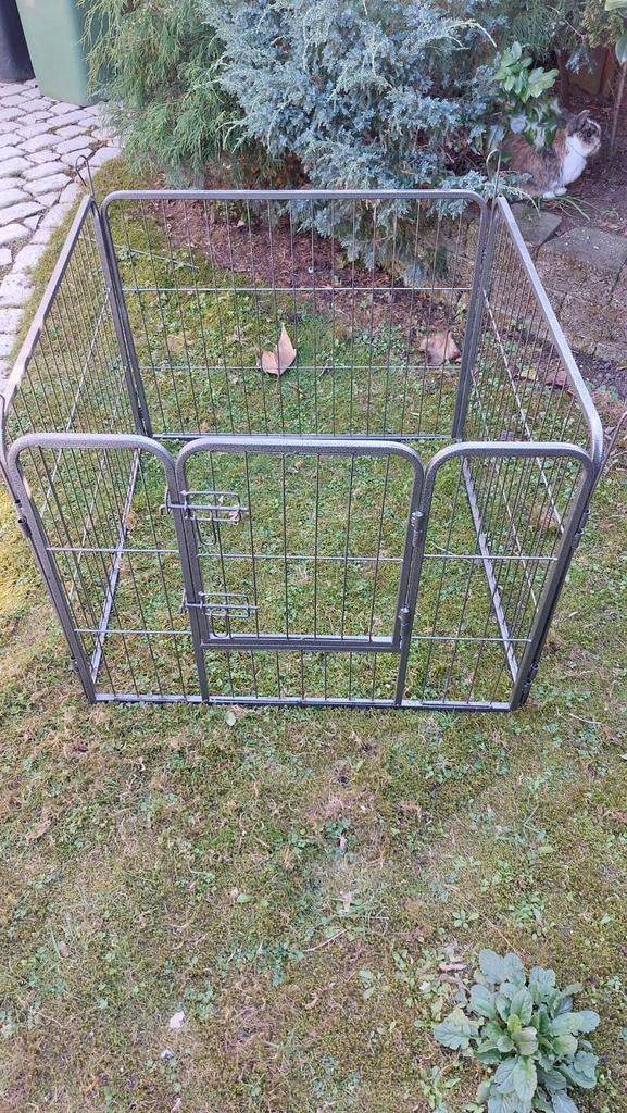 Konijnen ren, Dieren en Toebehoren