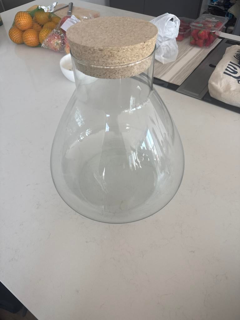 Glazen Planten Terrarium met Kurken Deksel, Ophalen, Overige kleuren, Minder dan 50 cm, Glas