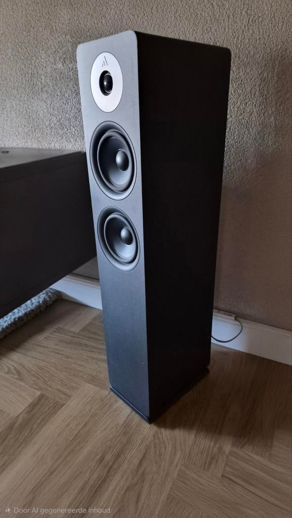 Set Argon Audio HIFI vloerluidsprekers, Audio, Tv en Foto, Ophalen, Front, Rear of Stereo speakers, Overige merken