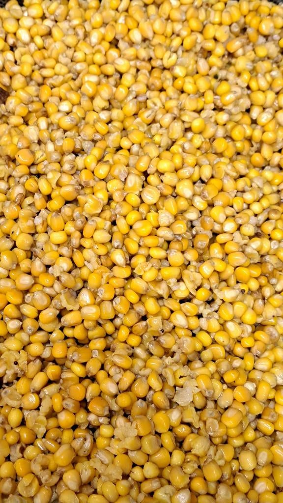 Mais Vers bereid 20kg 22.50 euro, Ophalen of Verzenden, Nieuw, Overige typen