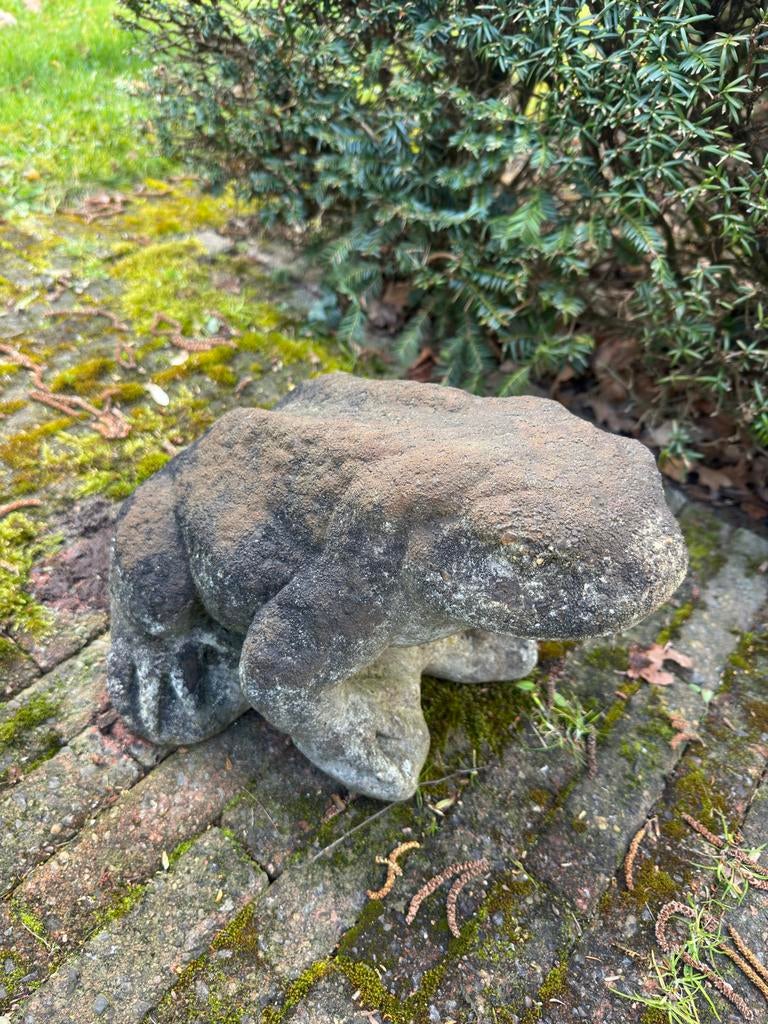 Decoratieve Tuinkikker van Steen - Uniek Beeld, Ophalen, Gebruikt, Steen, Dierenbeeld