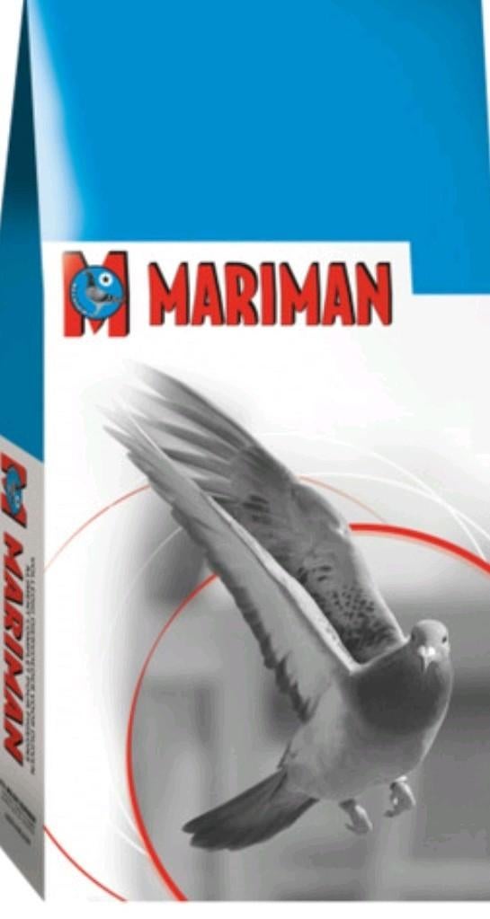 Mariman kweek/sport te koop, Dieren en Toebehoren, Meerdere dieren, Postduif