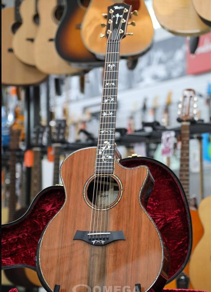 Taylor 914ce Special Edition, Ophalen, Nieuw, Met koffer
