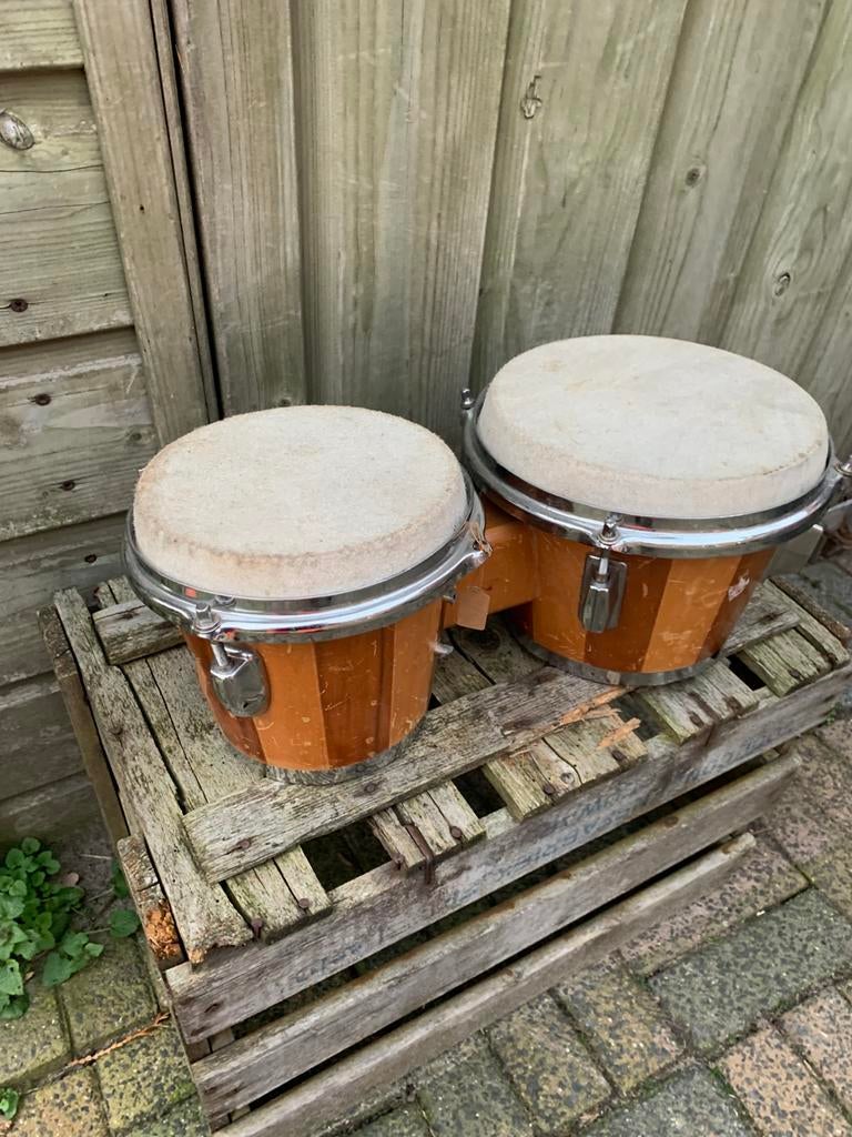 2 bongo bongo in 1 koop, Verzenden, Zo goed als nieuw, Trommel