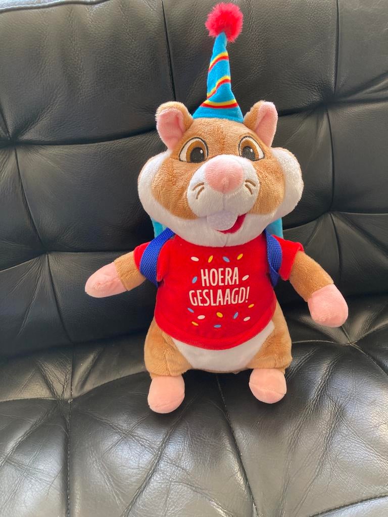 Ah hamster geslaagd, Ophalen of Verzenden, Zo goed als nieuw, Overige typen