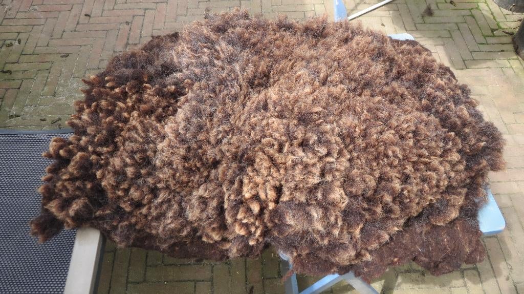 Zwartbles schaap, hand gevilte vacht, 80x55cm, 100% wol, Verzenden, Nieuw