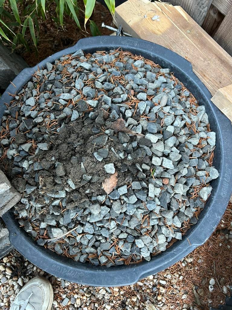 Grijs ardenner split, Ophalen, Zo goed als nieuw, Basalt, Split