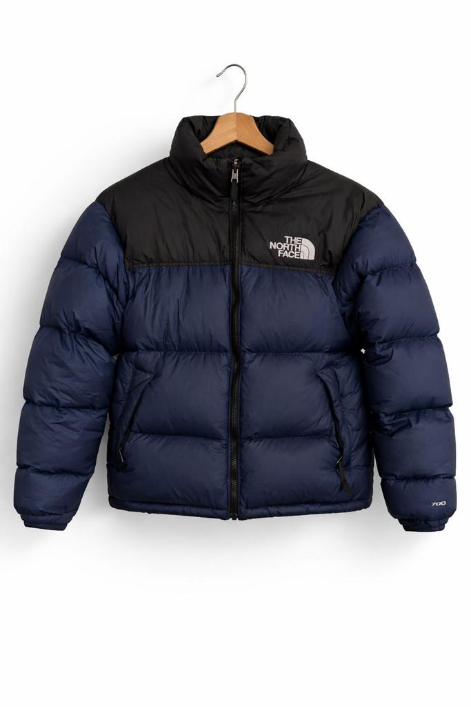 The North face jas, Kleding | Heren, Jassen | Winter, Verzenden, Zo goed als nieuw, Blauw