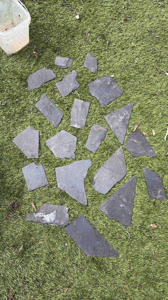 Stukken leisteen voor aqaurium of terrarium, Ophalen of Verzenden, Plant(en), Steen of Hout