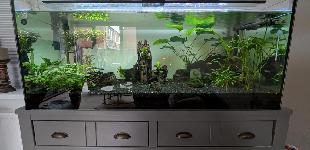 Aquarium, Dieren en Toebehoren, Reptielen en Amfibieën | Toebehoren, Zo goed als nieuw, Ophalen