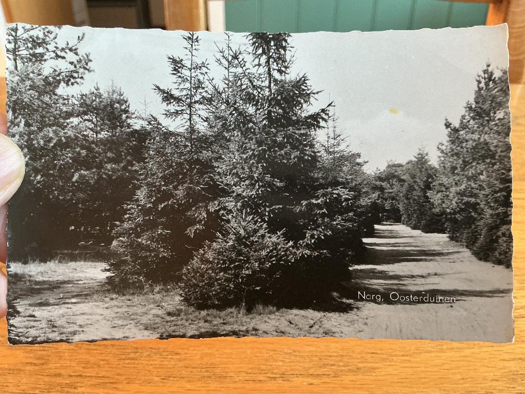 Norg oosterduinen, Verzenden, 1960 tot 1980, Gelopen, Drenthe