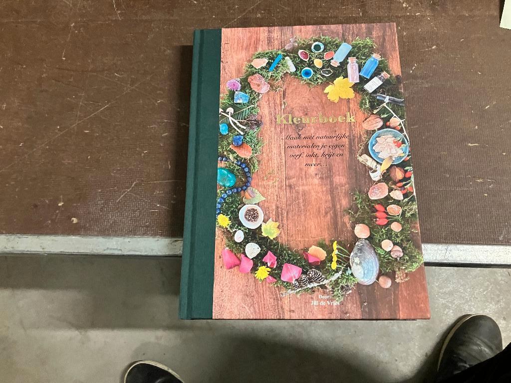 ambacht schildertechnieken pigment kleurstof, Jill de Vries, Ophalen of Verzenden, Zo goed als nieuw, Tekenen en Schilderen