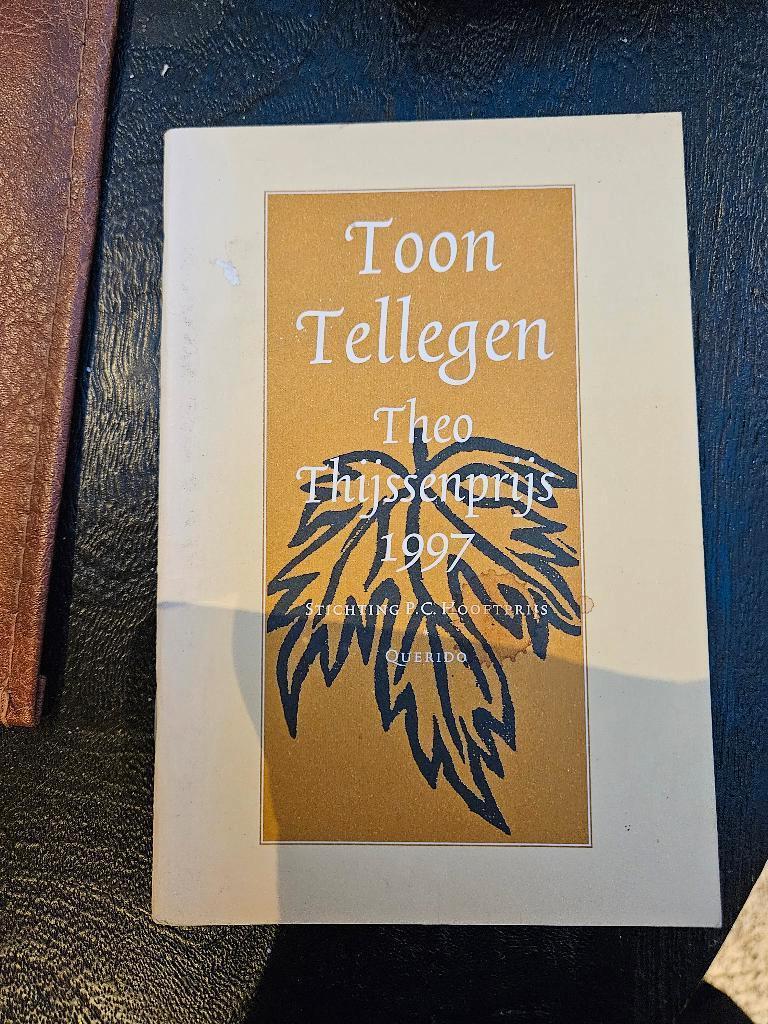 Toon Telligen, theo Thijssenprijs, Ophalen of Verzenden, Gelezen