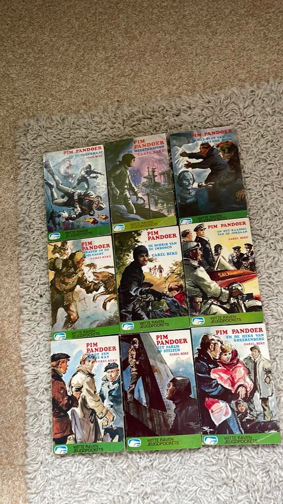 Pim Pandoer boeken, Boeken, Ophalen of Verzenden, Gelezen, Fictie