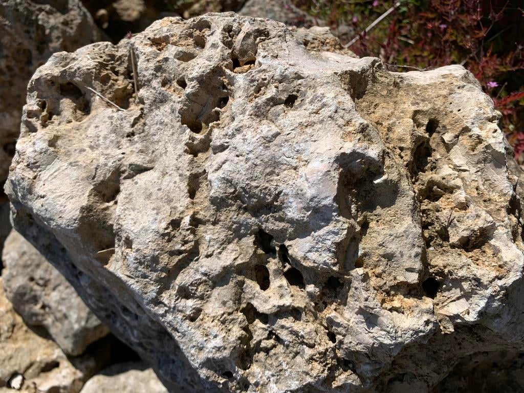 Gele Maanstenen Aquarium Vijverstenen natuursteen, Tuin en Terras, Geel, Nieuw, Ophalen of Verzenden, Kei