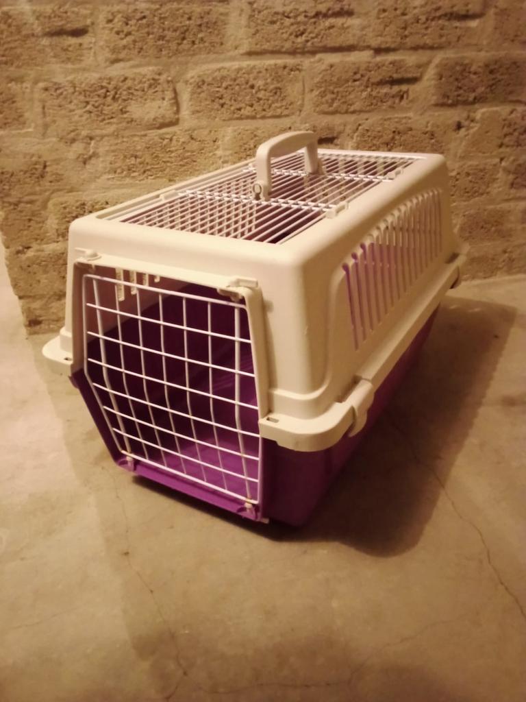 Ferplast atlas paarse katten,kleine honden transportbox, Ophalen of Verzenden