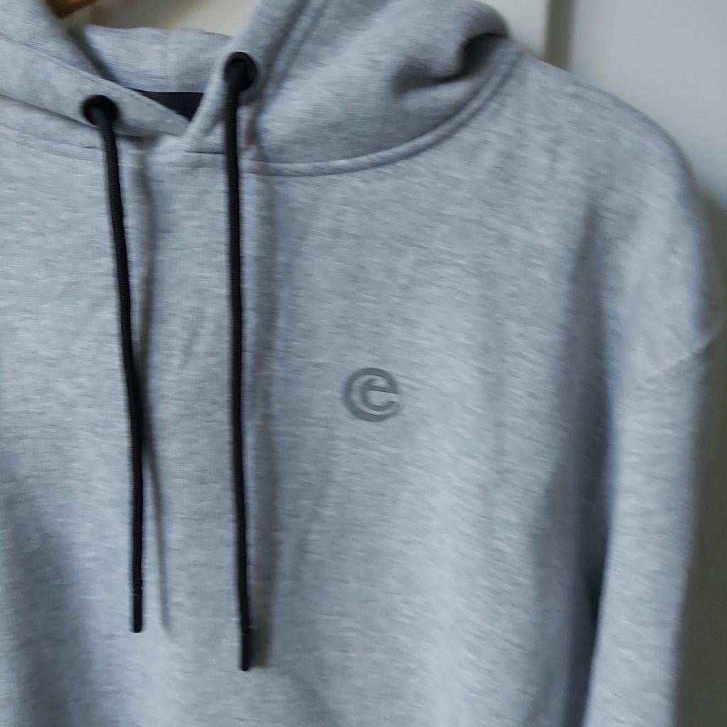 Efteling Hoodie - Comfortabel en Stijlvol!, Kleding | Heren, Truien en Vesten, Zo goed als nieuw, Maat 52/54 (L), Grijs, Ophalen of Verzenden