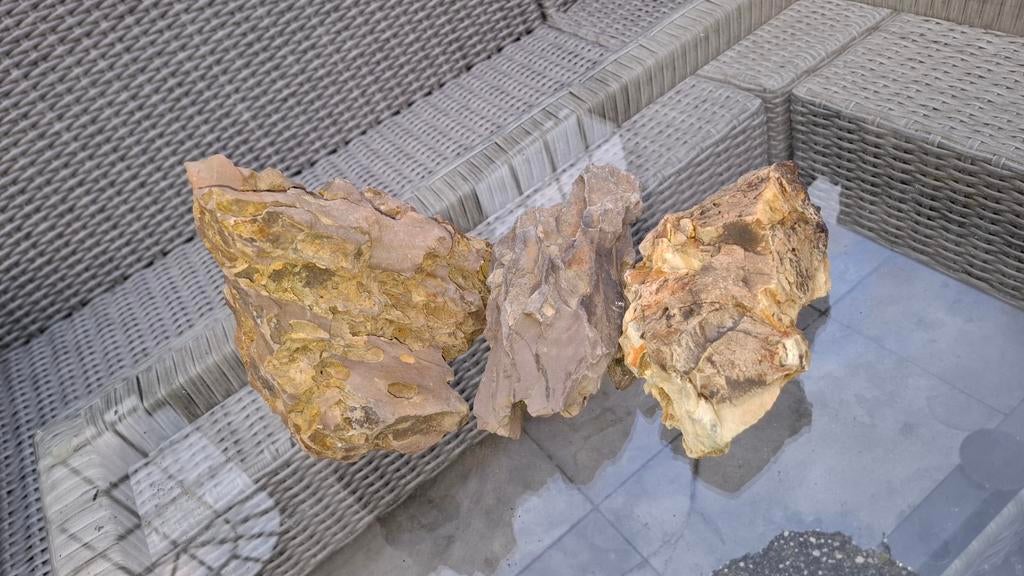 Dragonstone, Ophalen of Verzenden, Plant(en), Steen of Hout