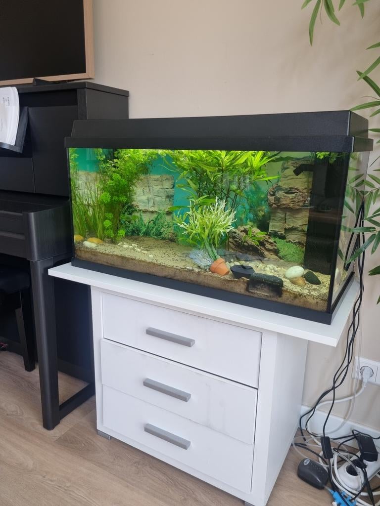 Binnenkort beschikbaar! Juwel Aquarium. Tropisch setting., Dieren en Toebehoren, Vissen | Aquaria en Toebehoren, Ophalen, Zo goed als nieuw