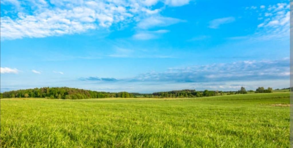 Bijrijder gezocht voor draver ruin–omgeving Bussum/H'meent