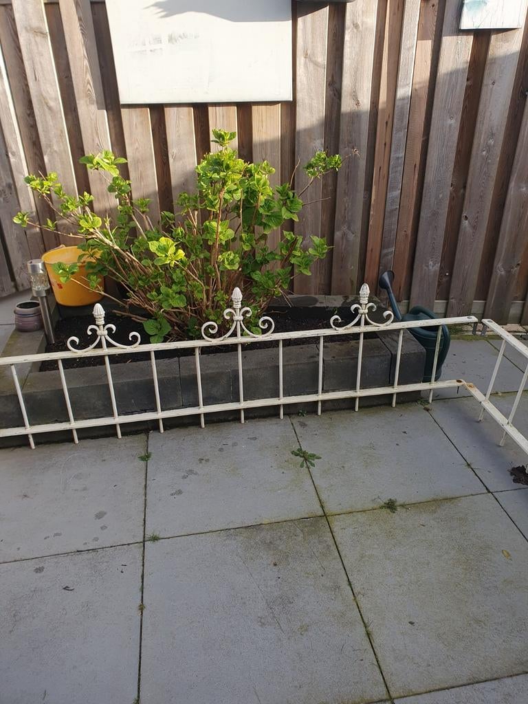 Tuin hek, Tuin en Terras, Tuinhekken en Hekwerk, Ophalen of Verzenden, IJzer, Sierhekwerk
