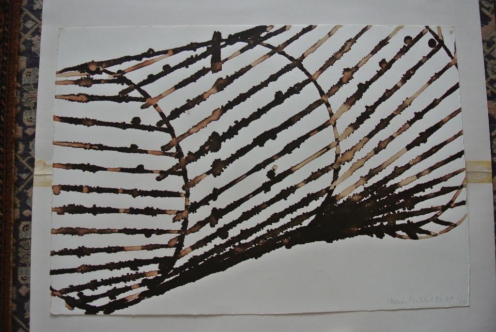 herman makkink litho, Ophalen of Verzenden