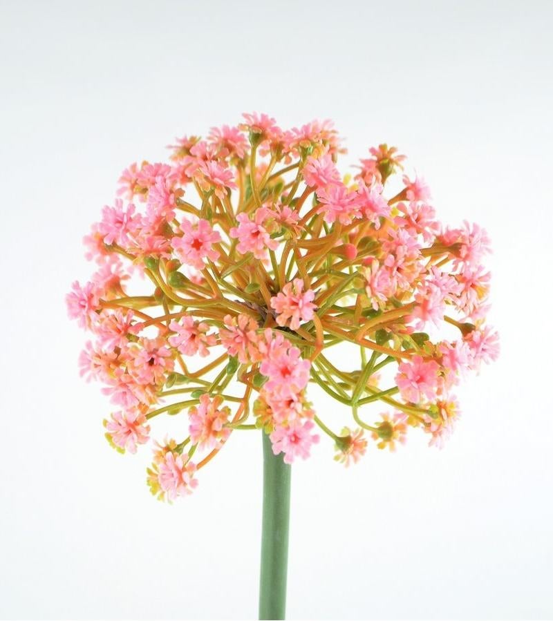 ALLIUM - KUNST - ROZE & WIT, Ophalen of Verzenden, Nieuw